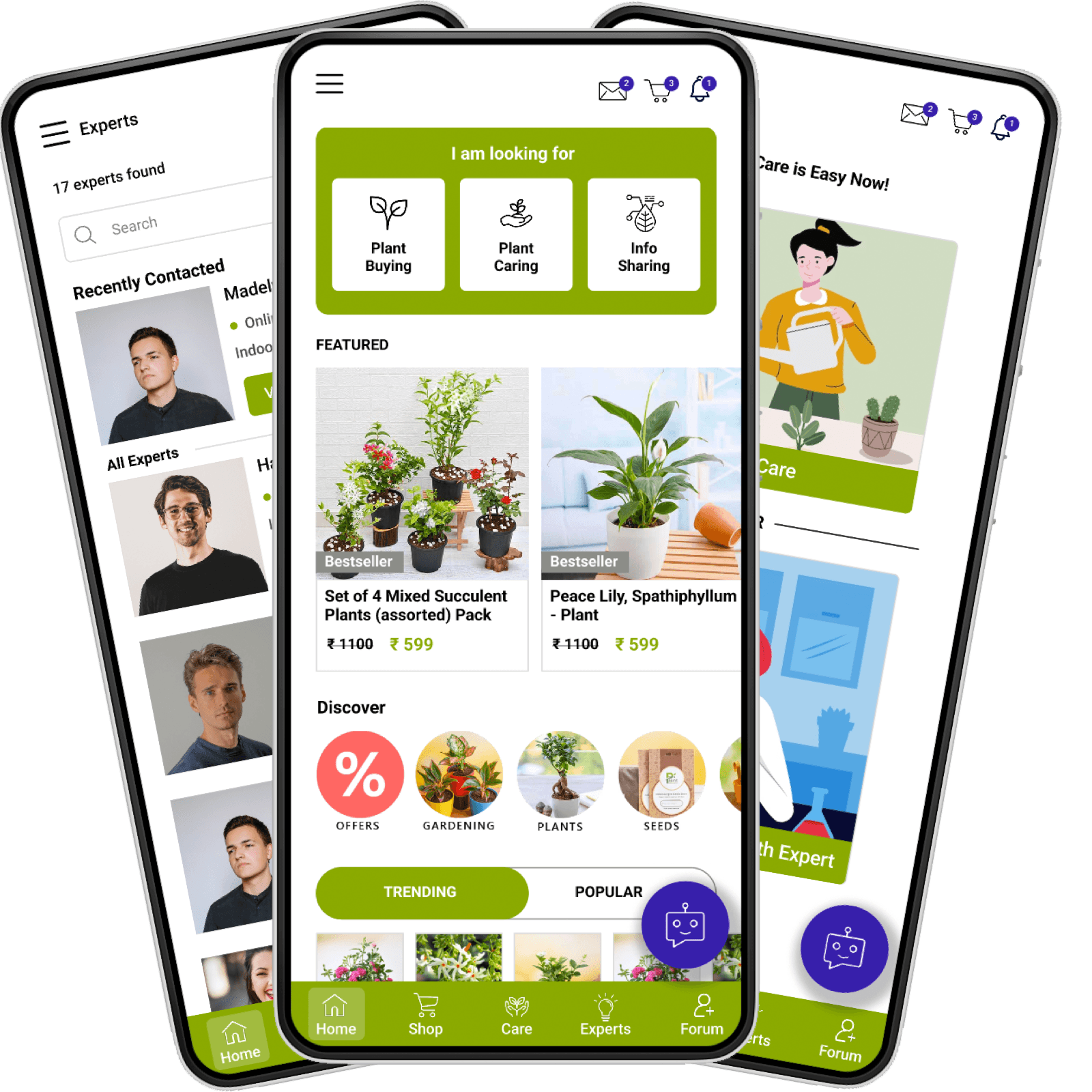 Small Space Plant Care